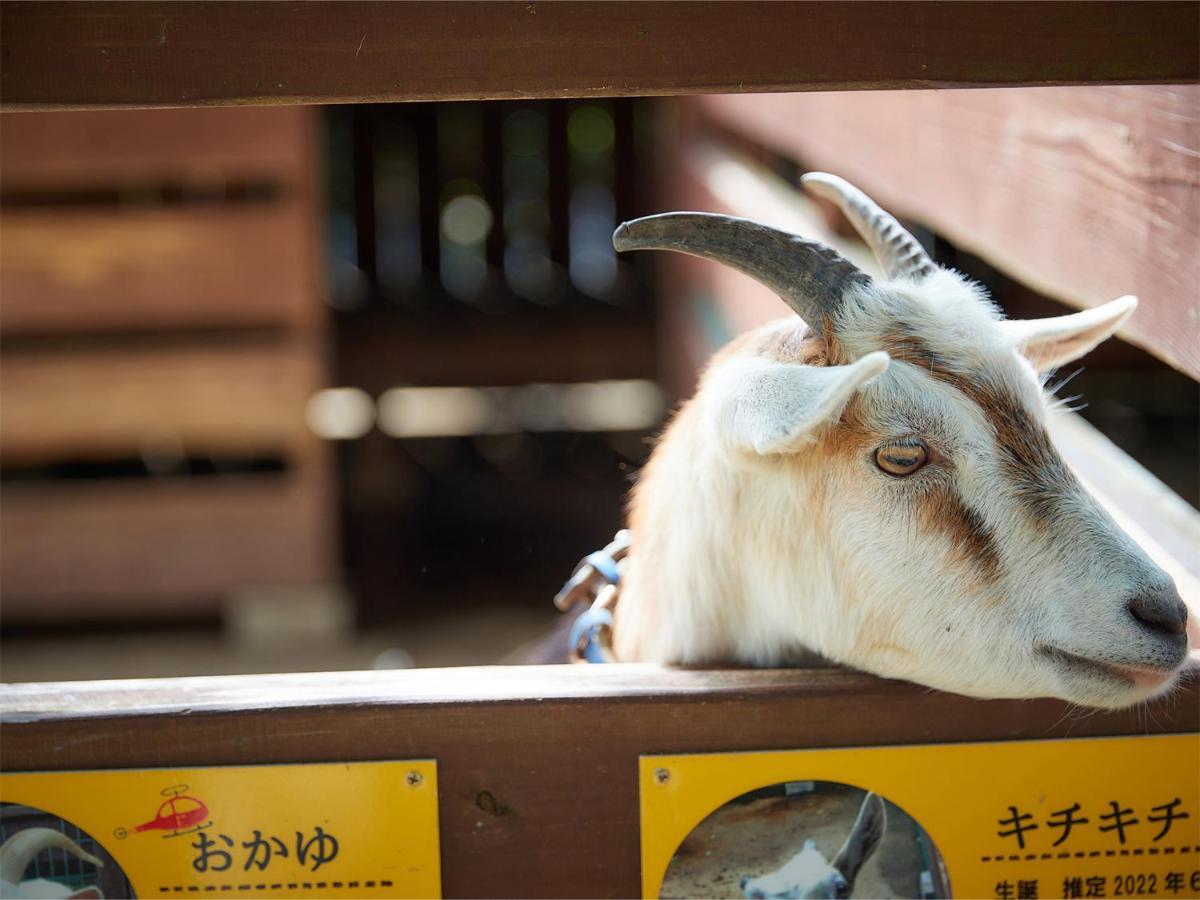 Hotel Murasakimura Yomitan Bagian luar foto